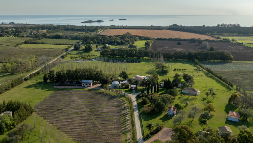 Finca