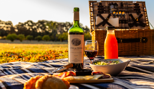 PICNIC_1.png