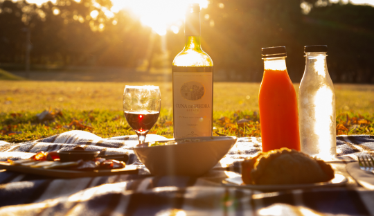 PICNIC_4.png