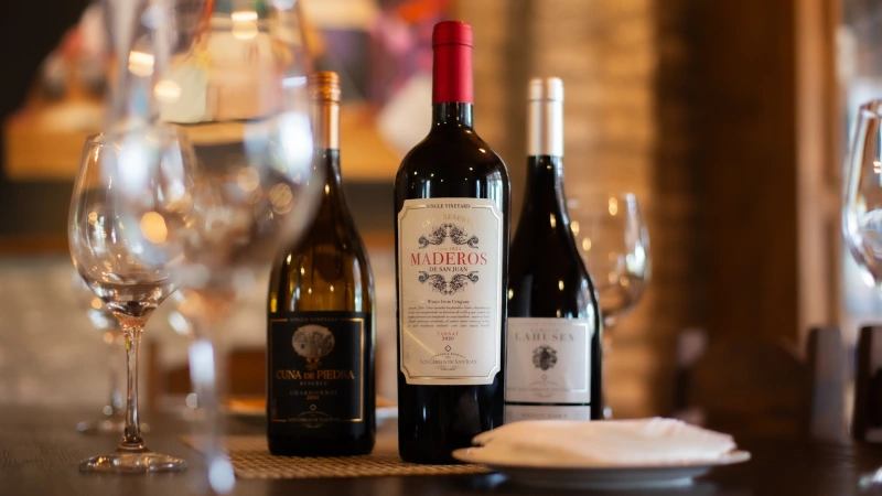 Wine Experience