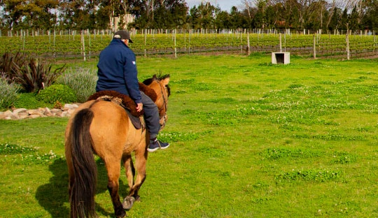 Horseback Riding at Finca del Sacramento