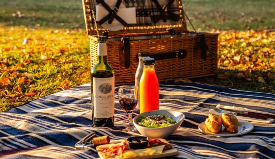 picnic_gourmet_en_finca_del_sacramento.webp