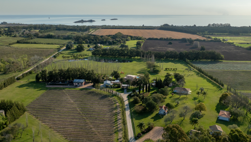 Finca del Sacramento